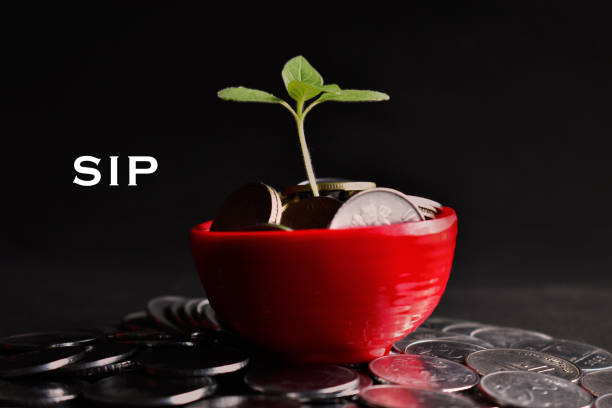 Grow Wealth with SIP and Mutual Fund Investments Online
