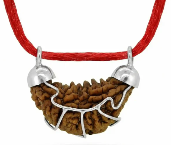 A Complete Guide to Rudraksha Collection and Moolank Oil